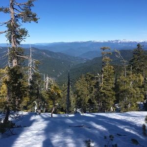 Meet your Posher, Angel